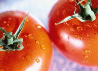 Можно ли есть помидоры при похудении (диета на помидорах)